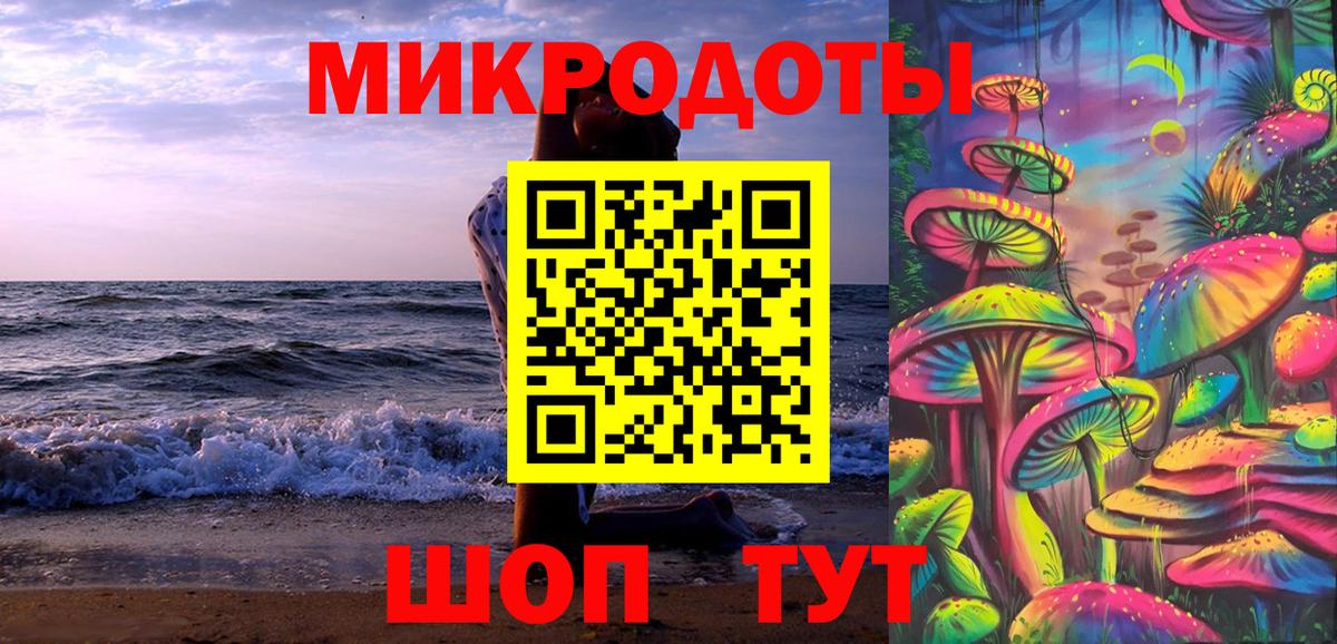 Псилоцибиновые грибы Psilocybine cubensis Саяногорск