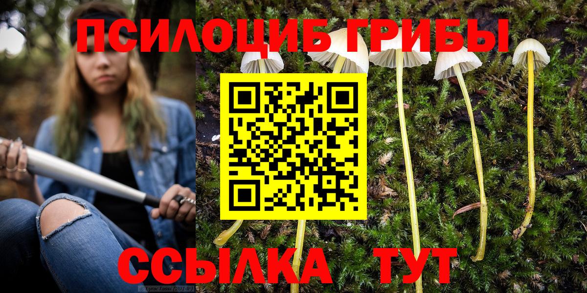 Саяногорск  Псилоцибиновые грибы Psilocybe  Псилоцибиновые грибы Magic Shrooms  Вход с VPN 