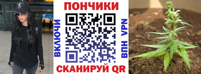 сколько стоит  Саяногорск  Бошки Шишки ГИДРОПОН 